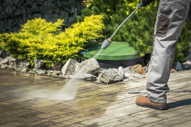 Best Pool Deck Cleaning  in Nocatee, FL