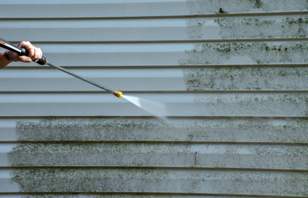Best Sidewalk and Walkway Cleaning  in Nocatee, FL